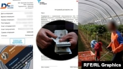 Даҳҳо нафар дар Тоҷикистон мегӯянд, ки бо ваъдаи дарёфти кор фиреб хурдаанд.