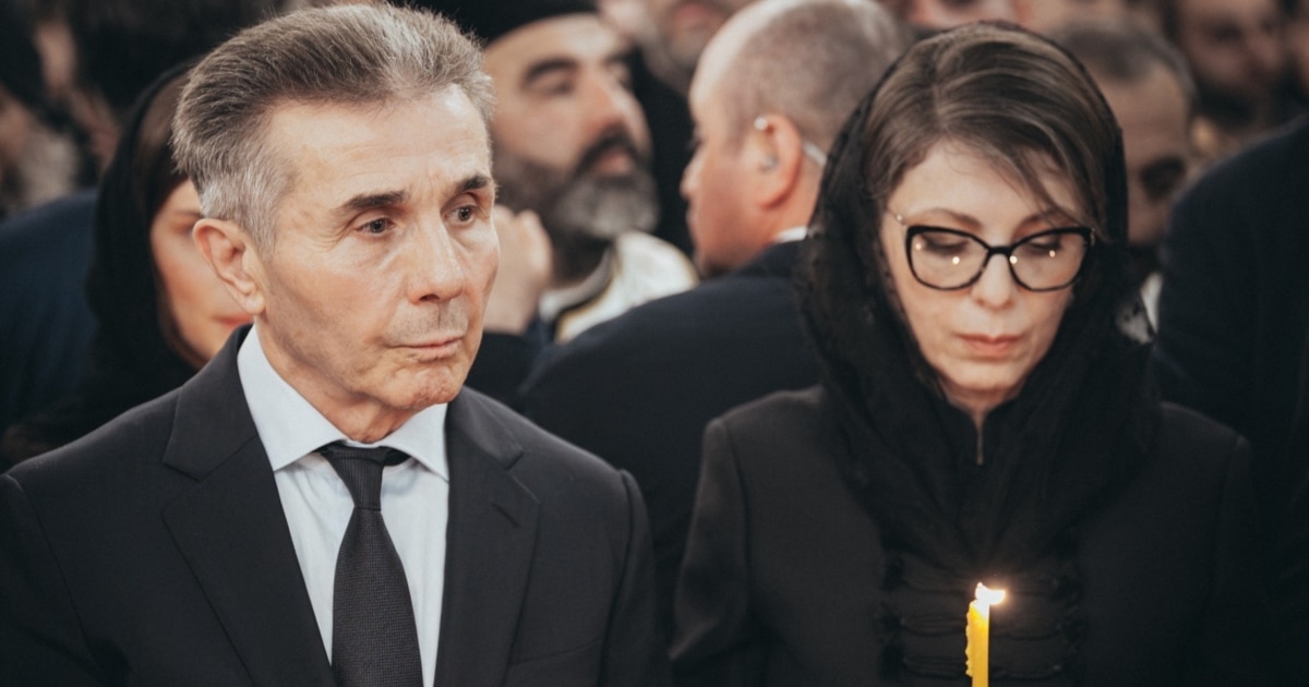 „თანაინვესტირების ფონდის“ 8 კომპანია ივანიშვილის ცოლის სახელზე დარეგისტრირდა
