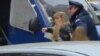 Policijsko nasilje prilikom deložacije