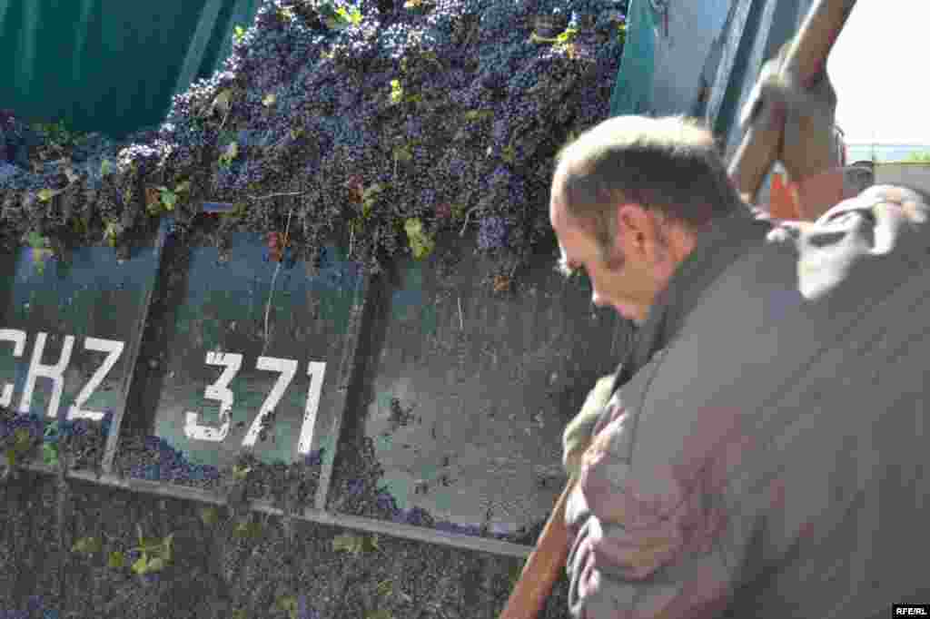 Prețuri mici, probleme mari #9