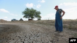 Farmer Marion Kujawa looks over a pond he usually uses to water the cattle on his farm in Ashley, Illinois. According to the Illinois Farm Bureau, the state is experiencing the sixth-driest year on record.