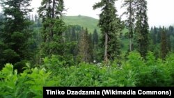 აბასთუმანი