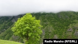 Chechen Mountains