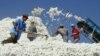 Tajik Schools Suspend Class For Cotton Harvest