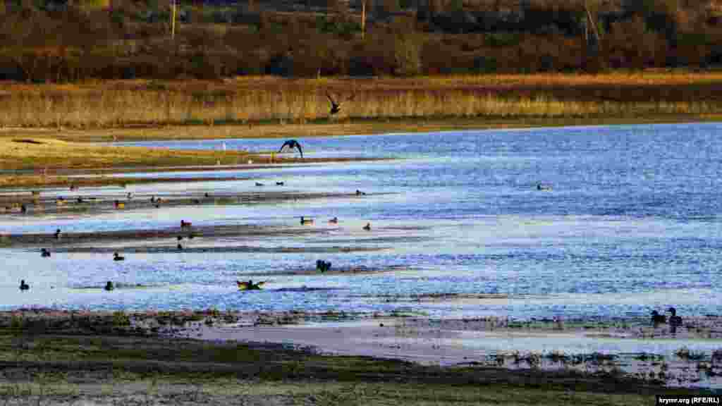 Розташоване в Бахчисарайському районі Альмінське водосховище &ndash; одне з перших у Криму, побудоване в 20-30-х роках минулого століття на балці Базар-Джилга