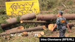 Apărătorii pădurii Himki