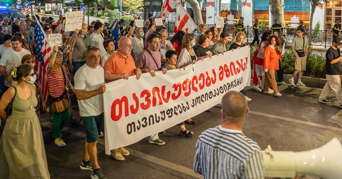 პროტესტის 252-ე დღე: მზია ამაღლობელის მხარდასაჭერად მსვლელობა გაიმართა, აქციაზე გიორგი ახობაძე მივიდა
