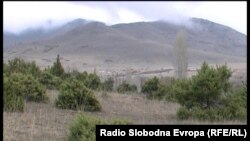 Шума во Македонија