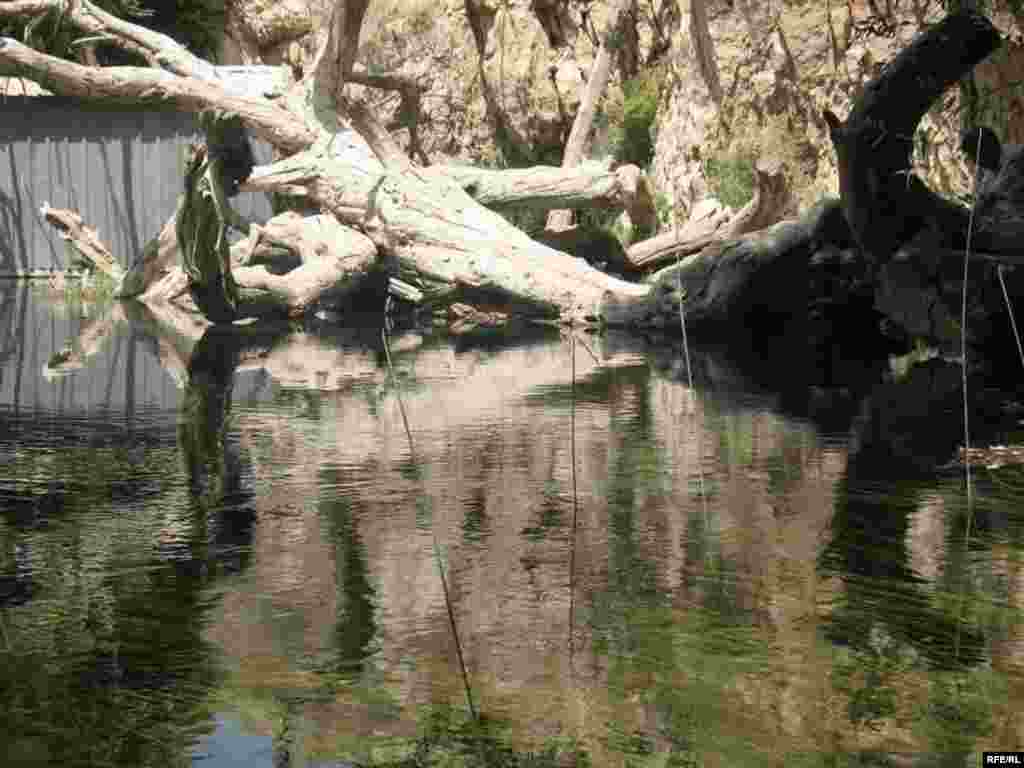 Зиёрати Чилучорчашма #22