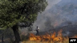 Një roje i pyjeve përdor një degë në përpjekje për të shuar një zjarr më 10 gusht 2017 pranë Sarandës në Shqipëri. Fotografi nga arkivi.