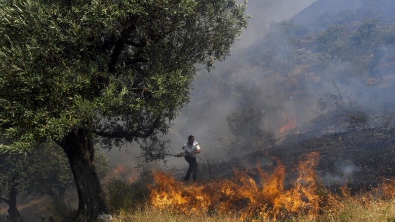 Во гаснењето на пожарите во Албанија се вклучија хеликоптери од Холандија и Чешка
