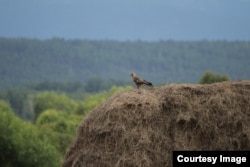 В Красночикойском районе