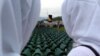 Srebrenica Commemorates 12th Anniversary Of Massacre