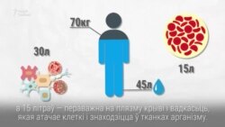 Колькі трэба піць