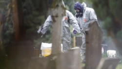 Британские полицейские на могиле супруги Сергея Скрипаля, Людмилы Скрипаль, где также были найдены следы отравляющего вещества