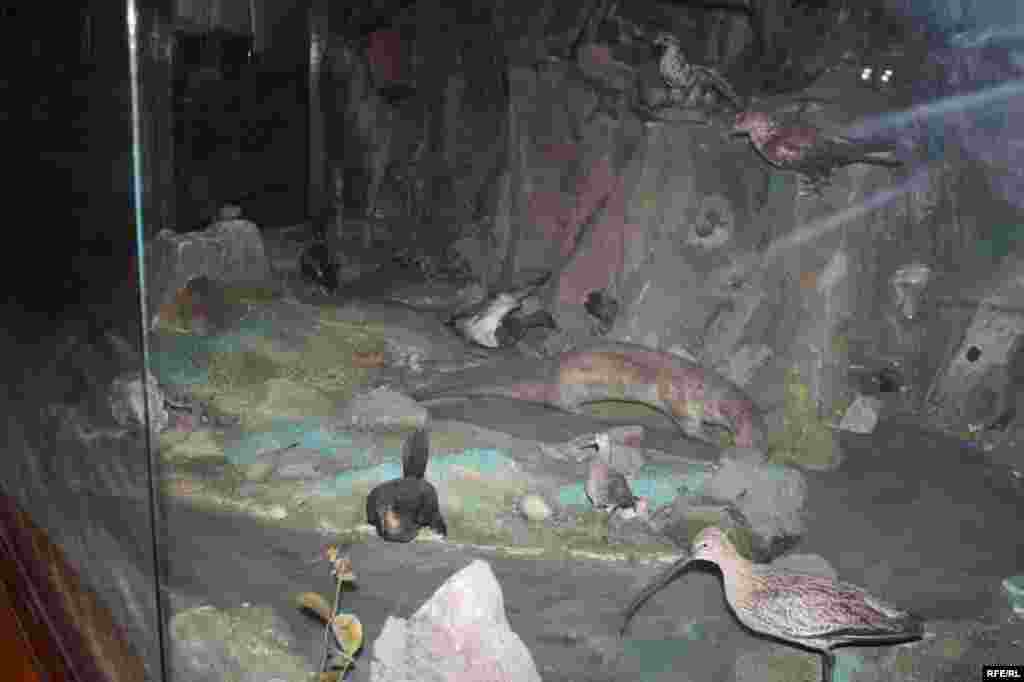 Сайре дар осорхонаҳои кишвар #107