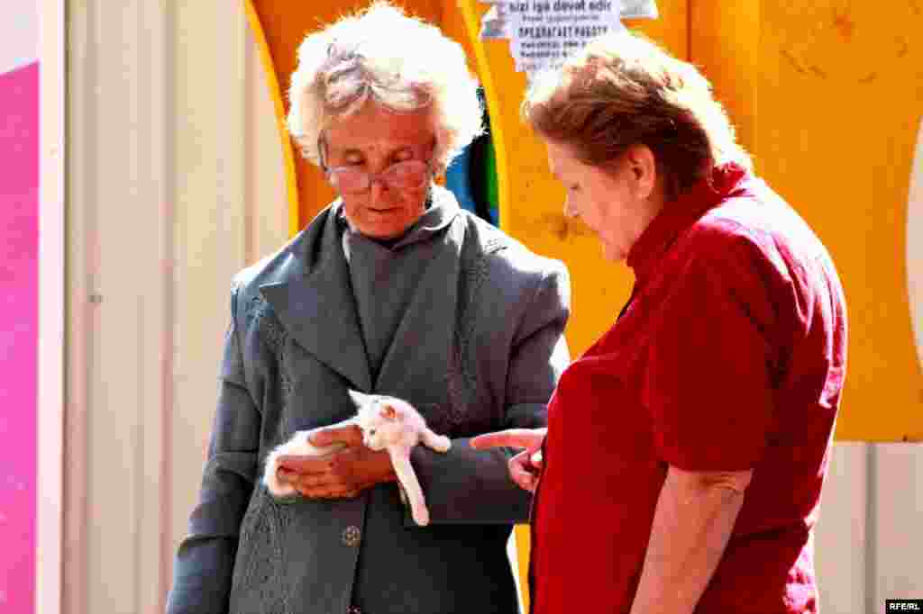 Milyonçu şəhərin yoxsulları #11