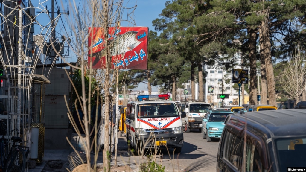 Një reklamë për shitjen e peshkut në Helamnd. Sytë e peshkut janë mbuluar me fjalën “shumicë”.Një burrë, që udhëheqës një kompani që ofron guida turistike rreth Kabulit, i tha Radios Evropa e Lirë se kukullat në dyqanet e lodrave po ashtu janë mbuluar në disa zona. Ai tha se kur dyqanet e rrobave iu përgjigjën ndalesës duke mbuluar fytyrat e manekinëve të tyre, të gjithë turistët e huaj iu bënë fotografi kukullave nëpër dyqane.