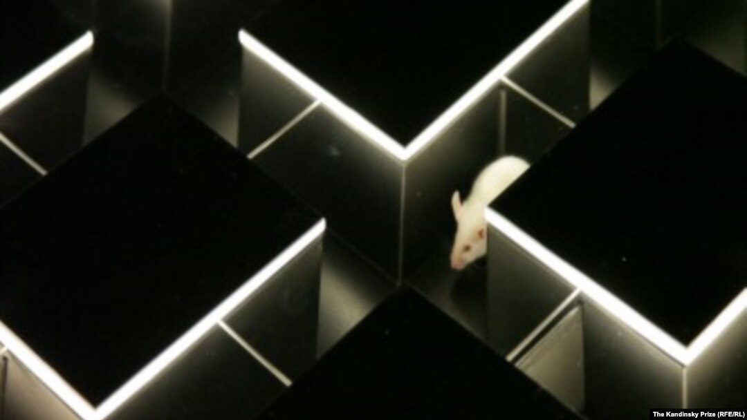 Exhibition Of The Kandinsky Prize
