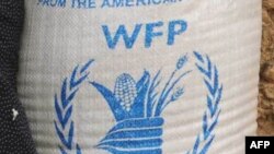 Afghanistan -- An Afghan woman looks on after receiving bags of wheat during a food donation at a World Food Program (WFP) emergency appeal in Isahaq Sulaiman village of Injil district, 20Feb2012