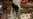 16x9 Image