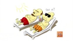 Мнения москвичей: где пропадал Путин?