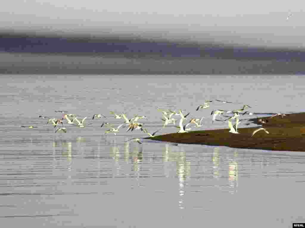 Türkmenistanyň çar tarapyndan #39