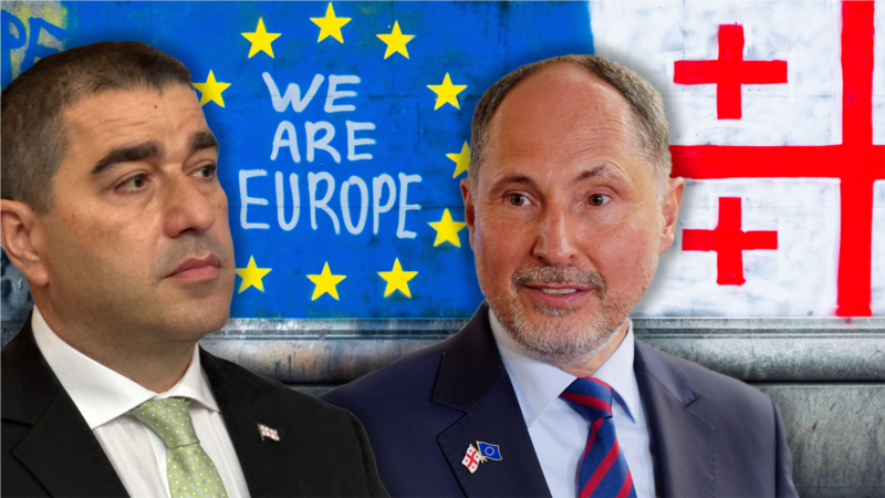 „ის დაკავებას უსამართლოს იმიტომ უწოდებს, რომ ამ ძალადობას ამართლებს“ - პაპუაშვილი ჰერჩინსკის შესახებ
