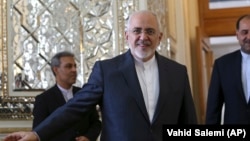 Iranian Foreign Minister Mohammad Javad Zarif (file photo)