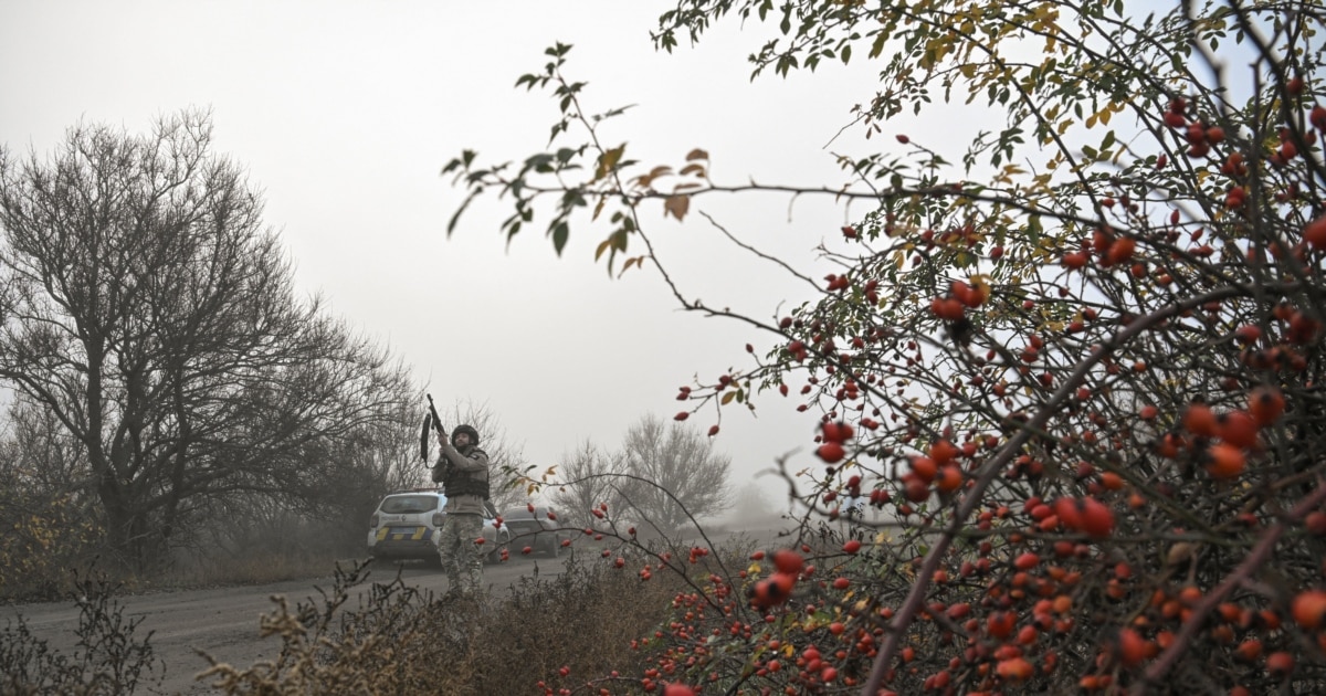 Армія РФ штурмує Гуляйполе і проривається до центру