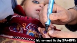 له پنځو کلونو یوه کم عمره افغان ماشوم ته د پولیو واکسین د تطبیق بهیر