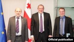 ევროსაბჭოს მონიტორინგის კომიტეტის წევრები საქართველოს პრეზიდენტს შეხვდნენ.