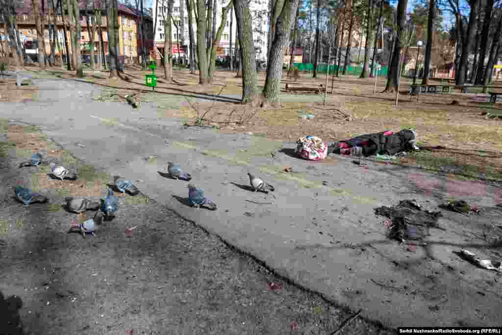 Тіло жінки в ірпінському парку «Дубки», яка загинула від російської атаки на місто. Ірпінь, 11 березня 2022