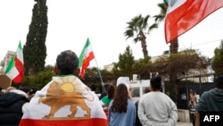 Leul și Soarele pe spatele unui demonstrant la Nicosia (Cipru), la 1 februarie 2026.