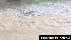 Иллюстрациялык сүрөт.