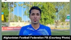 امرالدین شریفی 