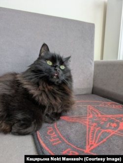 Кот Вельзевул