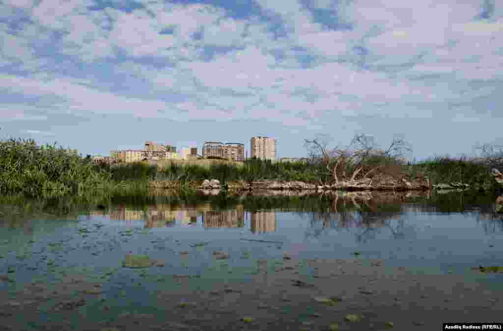 Göl kənarlarına doğru dayazlaşdıqca çirklilik dərəcəsi də artır. 