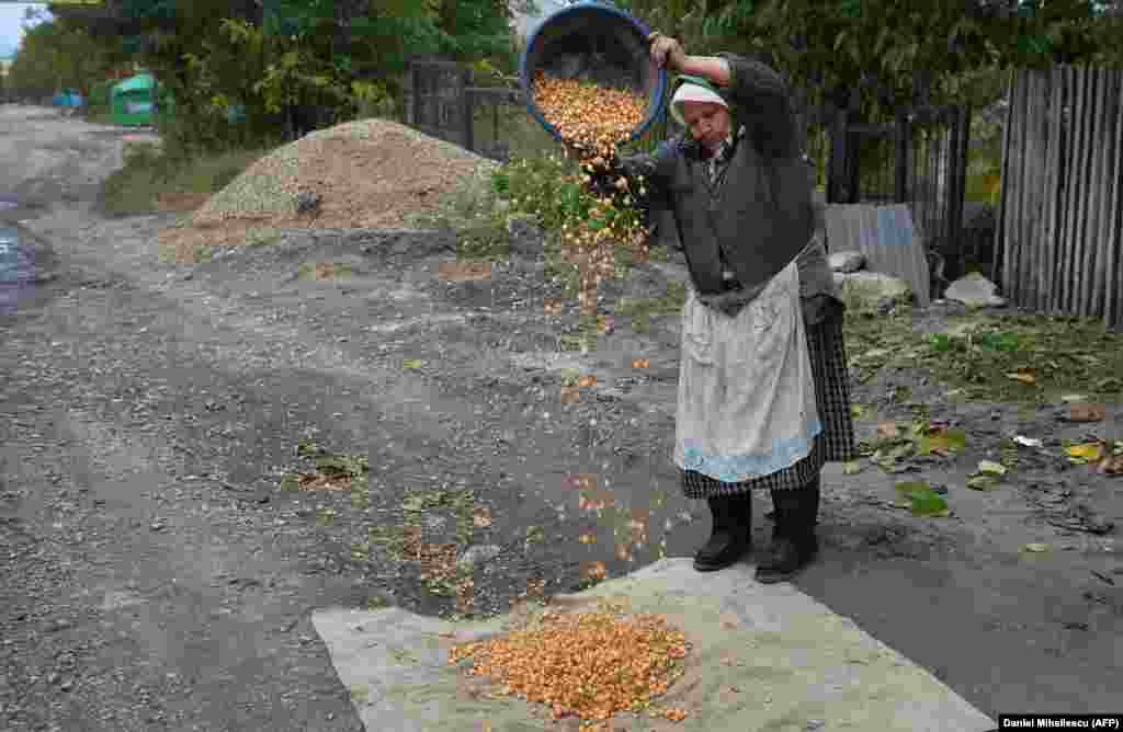 An ethnic Russian woman dries onions in the village of Dobrogea.