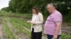 Ministra agriculturii, Ludmila Catlabuga, și antreprenorul Mihai Goncearenco, examinând semănăturile de sfeclă de zahar ale acestuia de la Fălești pe lanul acestuia de la Fălești, afectate de înghețuri