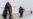 Heavy Snow Leaves 15 Dead