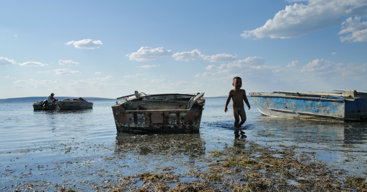 Жапондық транссексуалдық порно