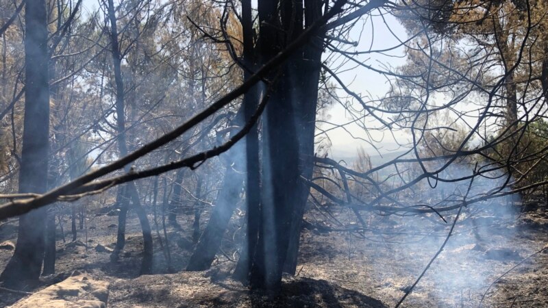 Požari u Crnoj Gori nijesu elementarna nepogoda