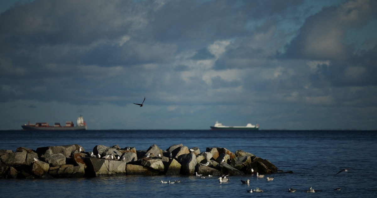 Încă un cablu submarin „agățat” cu ancora în Golful Finlandei, în ultima zi a anului