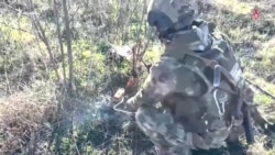 Украинага босқин: 1088-кун | Зеленский Европа армиясини яратишга чақирди
