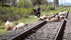 ფოტო: ადგილობრივი ტელევიზია ტვ24 