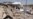 Al-Qaeda Appoints Successor To Al-Zarqawi