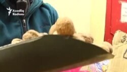 Bayram günlərində bazarlarda bahalaşma