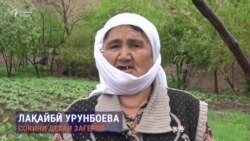 Дар бораи коронавирус аз куҷо маълумот мегиред?