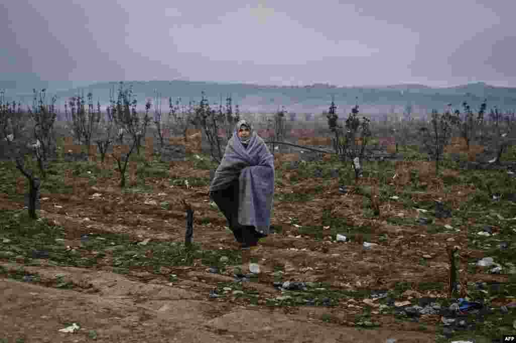 A woman collects firewoods in a field after crossing the Macedonian-Greek border near Gevgelija. (AFP/Dimitar Dilkoff)